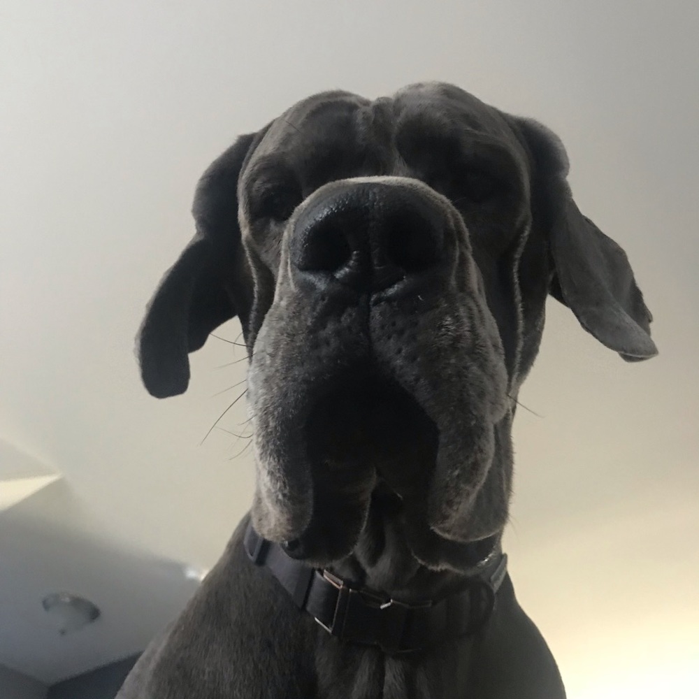 Meet your Posher, Erin